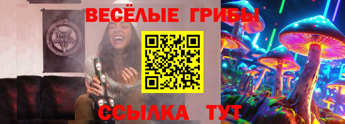 Галлюциногенные грибы мицелий Белгород